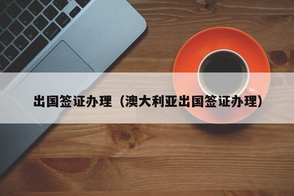 出国签证办理流程（初次出国签证怎么办理）